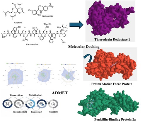 GA_Drug repurposing of some US FDA-approved drugs using Binding strength Studies for the Treatment of Methicillin-resistant Staphylococcus aureus Infection